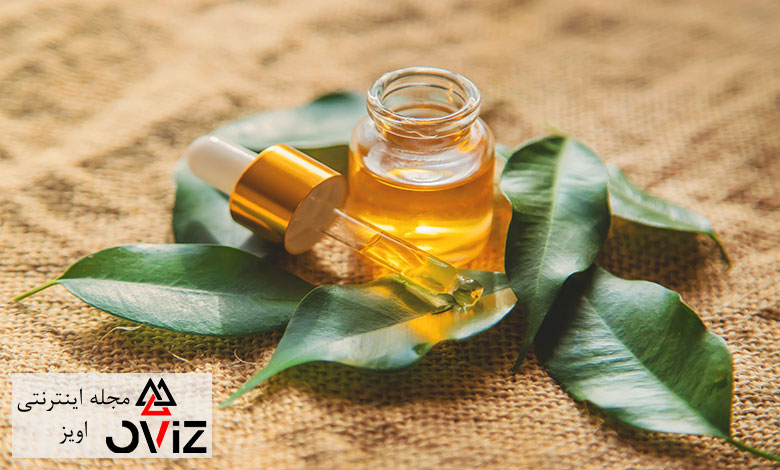 روغن درخت چای برای درمان شپش سر
