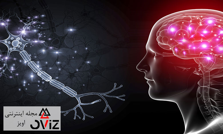 بررسی فواید نقاشی روی مغز