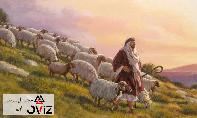 تعبیر خواب ذبح گوسفند