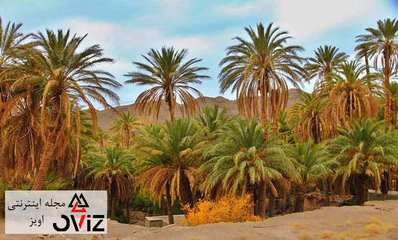 کویر زردگاه