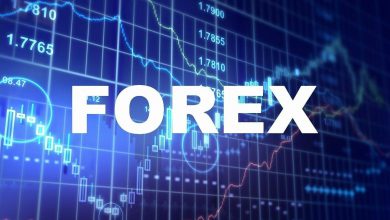 فارکس سیتی پرو پلتفرمی برای معامله در فارکس و ارز دیجیتال